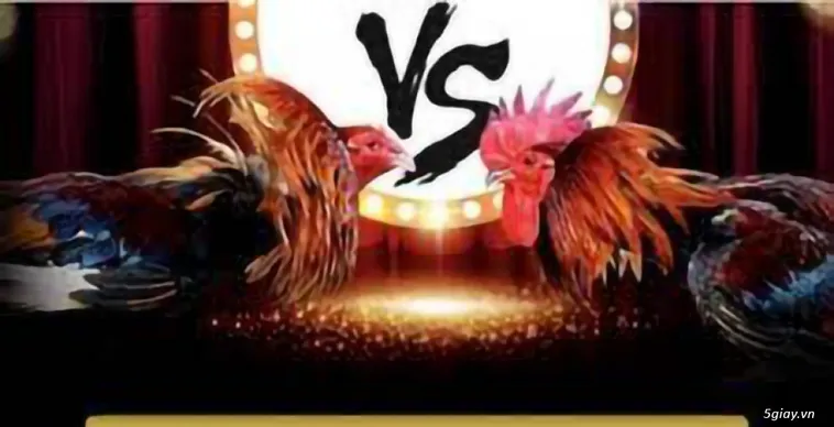 Đá Gà E2BET Khẳng Định Vị Thế Dẫn Đầu Thị Trường Cá Cược 2025