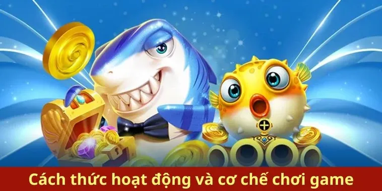 Hướng Dẫn Toàn Diện Cách Chơi Bắn Cá Royal Fishing Tại E2BET 1 Hướng Dẫn Toàn Diện Cách Chơi Bắn Cá Royal Fishing Tại E2BET