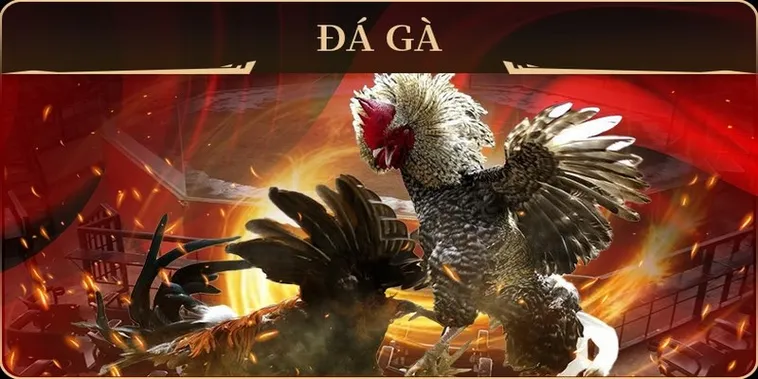 Bí Quyết Chơi Đá Gà GA28 Tại E2BET Thắng Lớn Từ Chuyên Gia